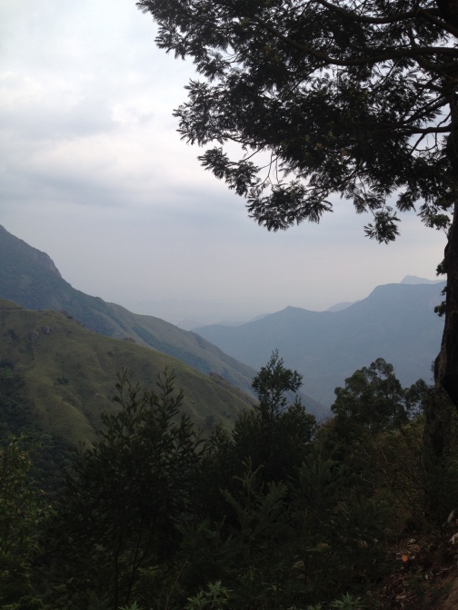 Top Station View Point, Munnar